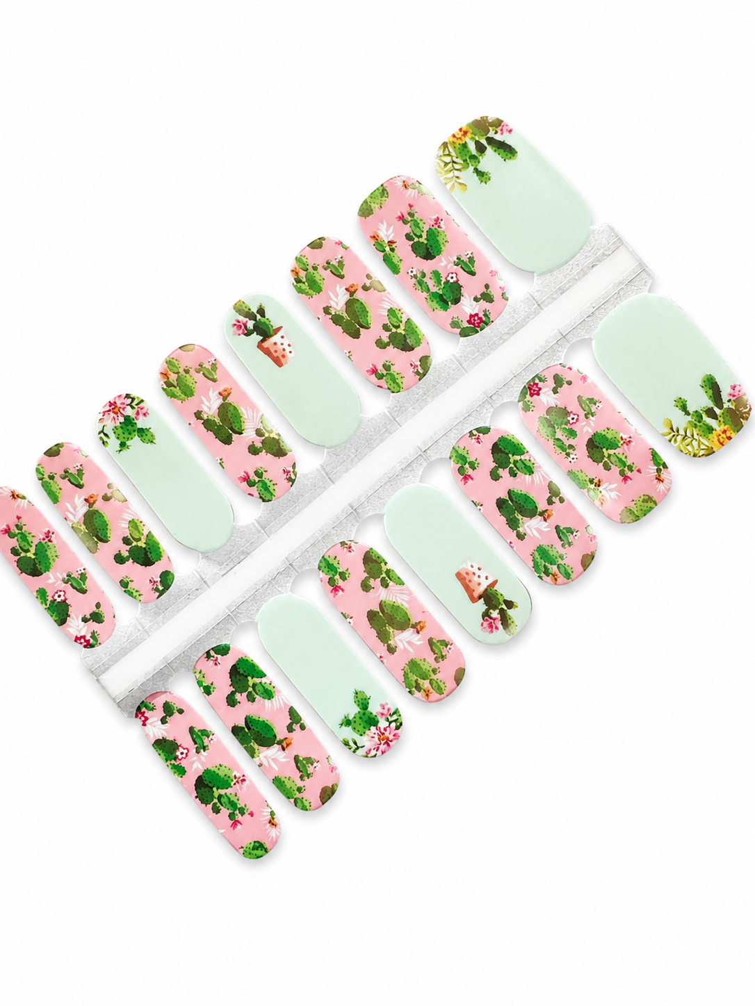 Cactus - £2.00