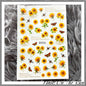 Sunflower 3 NDS