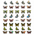 Metallic Butterfly 8
