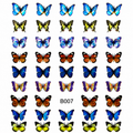 Metallic Butterfly 6